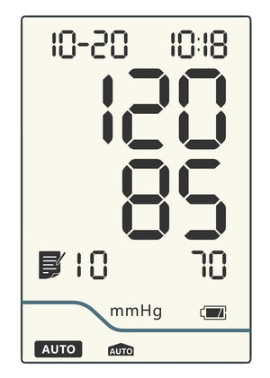 BPL Medical Technologies 120/80 B20 Blood Pressure Monitor (White)